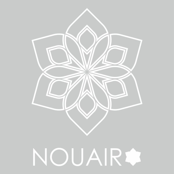 Nouair Logo