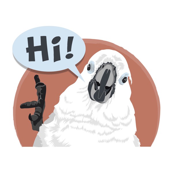 Cockatoo Illustration