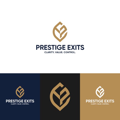 Logo & Brand for Boutique Advisory Design by circle.dsg