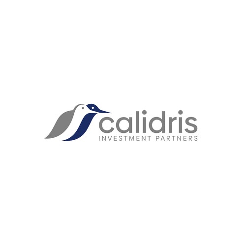 New Private Investment Firm Design by taufikrizkyy