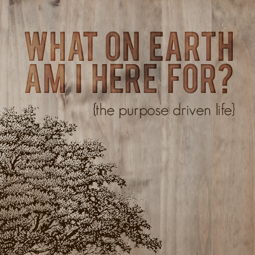 Book cover redesign for "What on Earth Am I Here For? The Purpose Driven Life" by Rick Warren Design by twelvestones