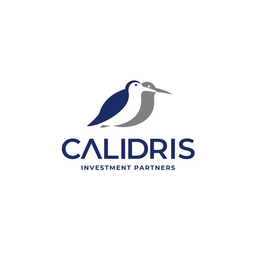 New Private Investment Firm Design by taufikrizkyy
