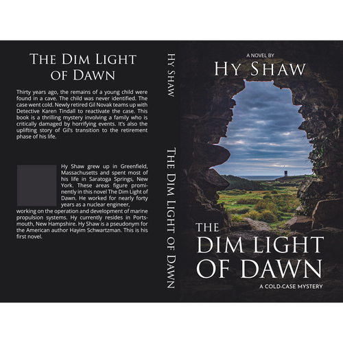 Enticing book cover for a cold-case mystery! Design by johnny_an