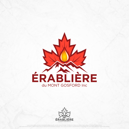  contest entry by petir jingga