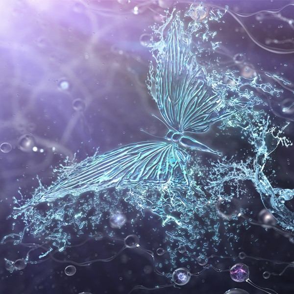 Abstract fibroblasts and new life