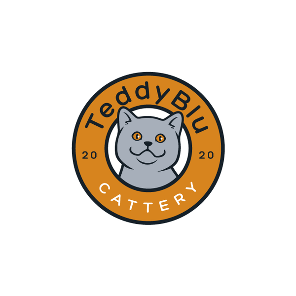Kuwait British Shorthair Cattery Mascot Badge Design