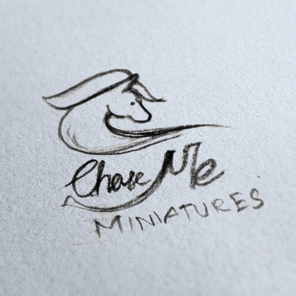 Design by illustrious art ✍ titled "Chase Me Miniatures"