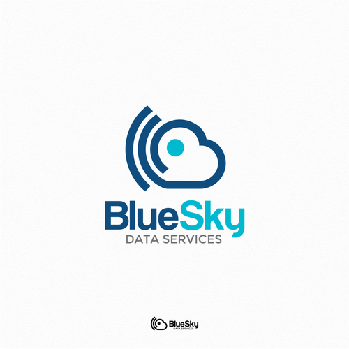 A logo for Blue Sky Data Services, a satellite weather data services ...