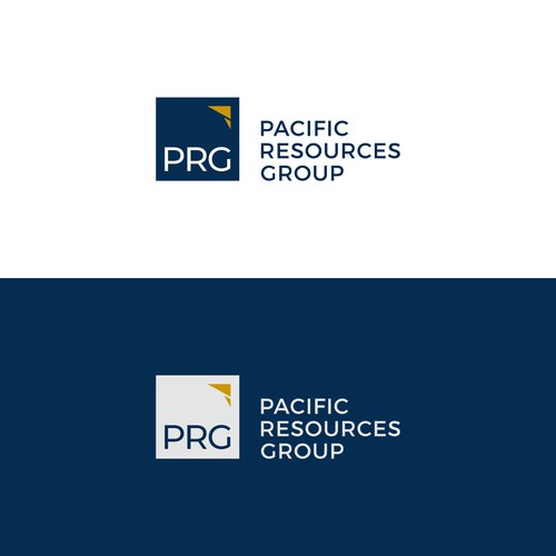 PRG Logo and Brand Guide Design by GraphicAjwa