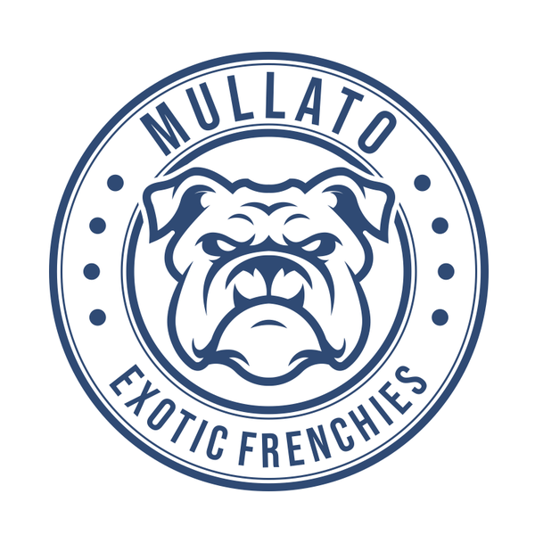 MULLATO