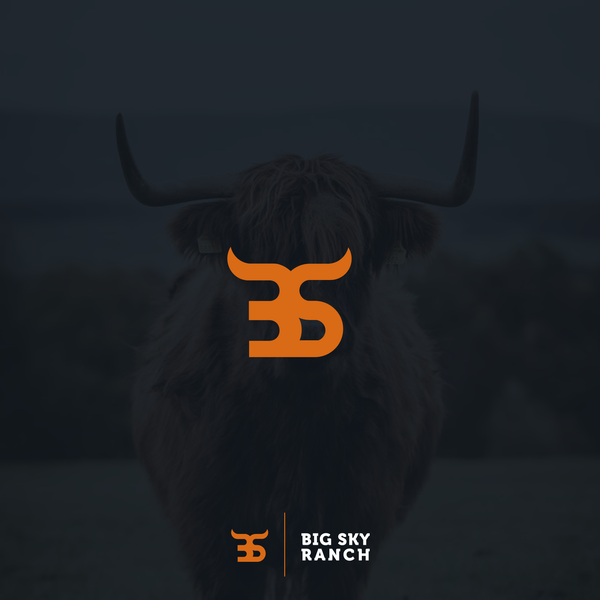 Design by Muhammad Rizky Kaira titled "Clean Bold and Memorable Initial Business Name"