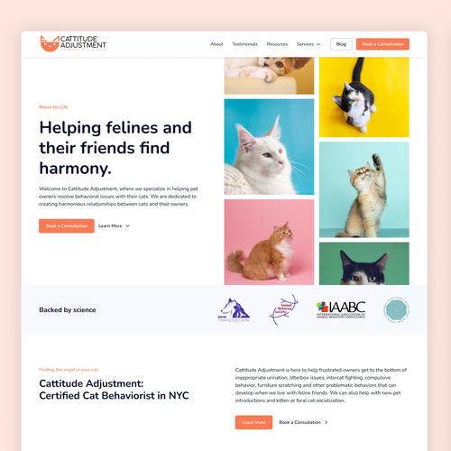 Create a website refresh for a cat behavior consultant! Design by Christian Storch