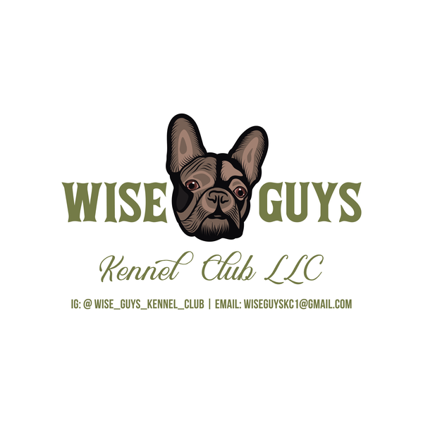 WiseGuys