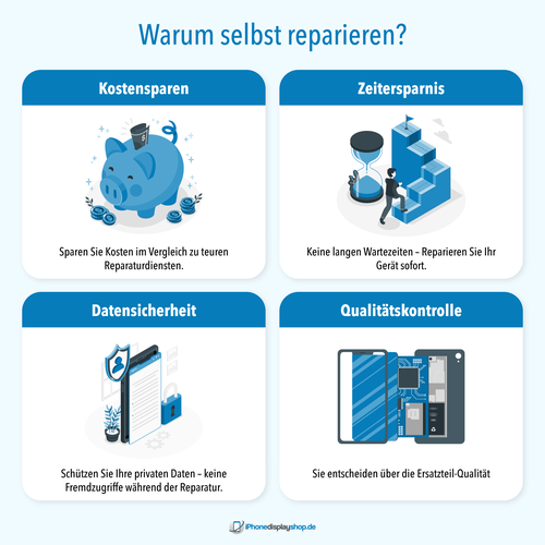 Infografía propuesta en el concurso por Laenoir