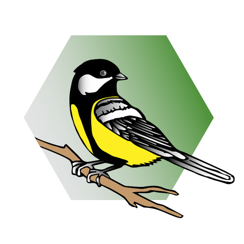  contest entry by Mouazzz