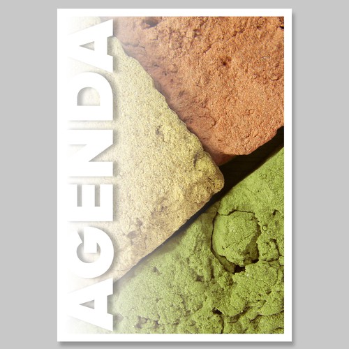 Book cover contest entry by paulabecattini