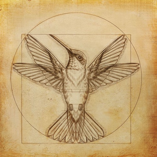 Leonardo da Vinci - Hummingbird Drawing Design by wcosta design