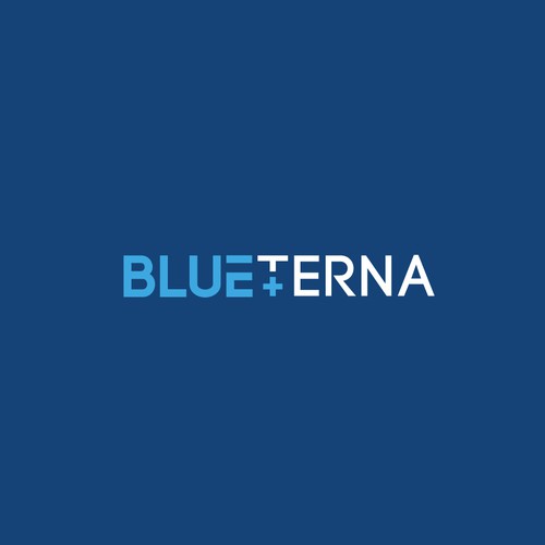 Blueterna Branding contest Design by Imam H.