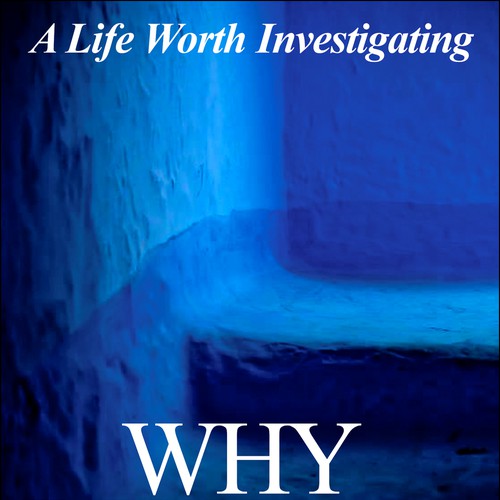 Create a conversation starter book cover for a renown author Design by mjesecnica