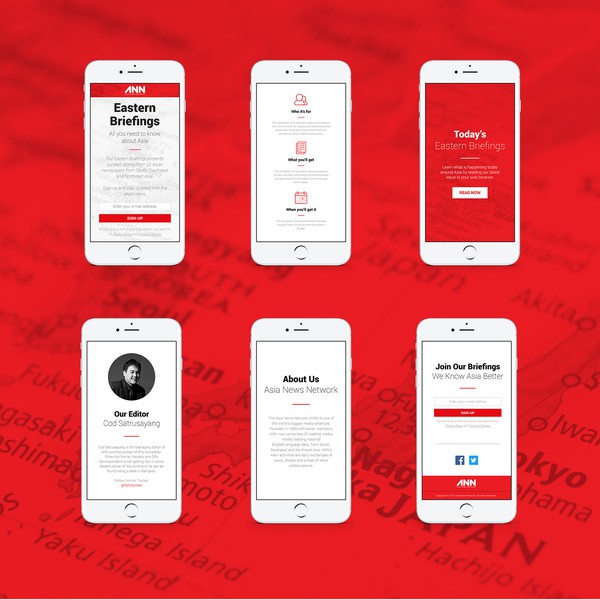 E-mail Newsletter & Web Landing Page