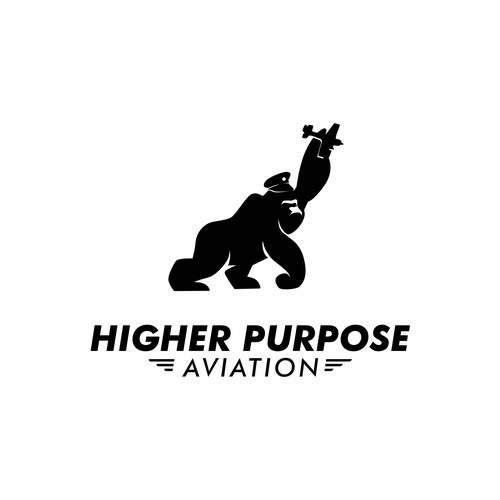 Higher Purpose Aviation Design by Normans