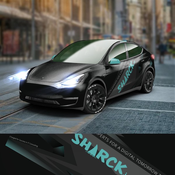 Tesla/client project