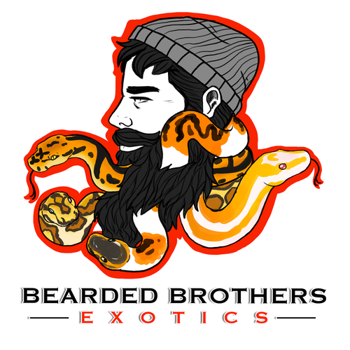 Design a Clean logo for Ball Python Breeders Design by GabsterIllustration