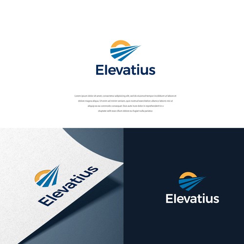 Design a top lead generating logo for a Fractional CFO firm focused on management consultants Design by Eeshu