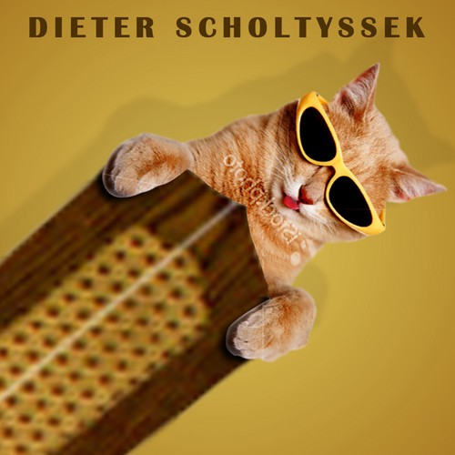 Book Cover for "Why is there a Cat on my Ceiling Fan?" Design by Underrated Genius