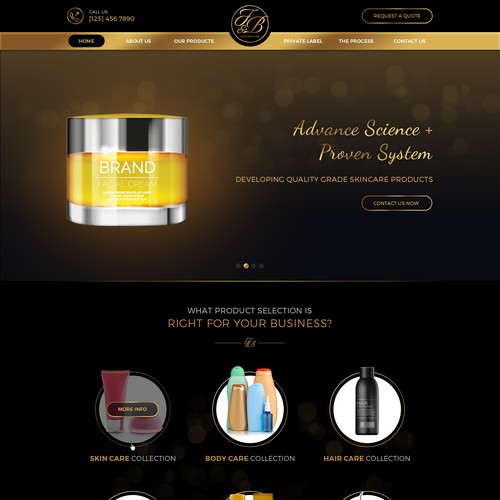 Black & gold themed website design Réalisé par MyCreativeMind