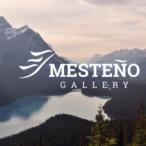 Logo design contest entry by Gabriela Namașco