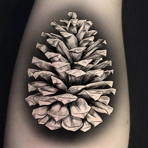 Pine Cone Tattoo Design Design by ANTICON