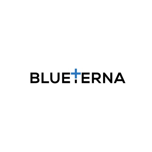 Blueterna Branding contest Design by Imam H.