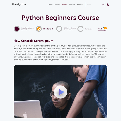 Educational and mentoring platform about the Python programming language Design réalisé par Technology Wisdom