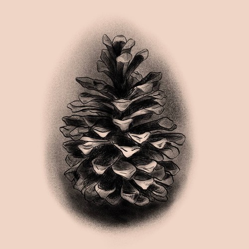 Pine Cone Tattoo Design Design by DesignBogdan