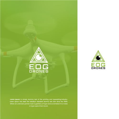 Custom Drone Company Logo Design by Paradise®