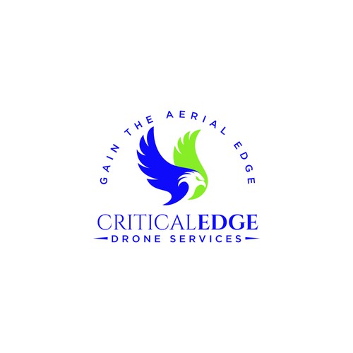 We need a logo design for new Drone inspection and survey company Design by hasnagraphics