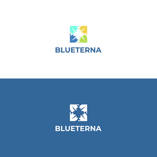 Blueterna Branding contest Design by GoodTime_