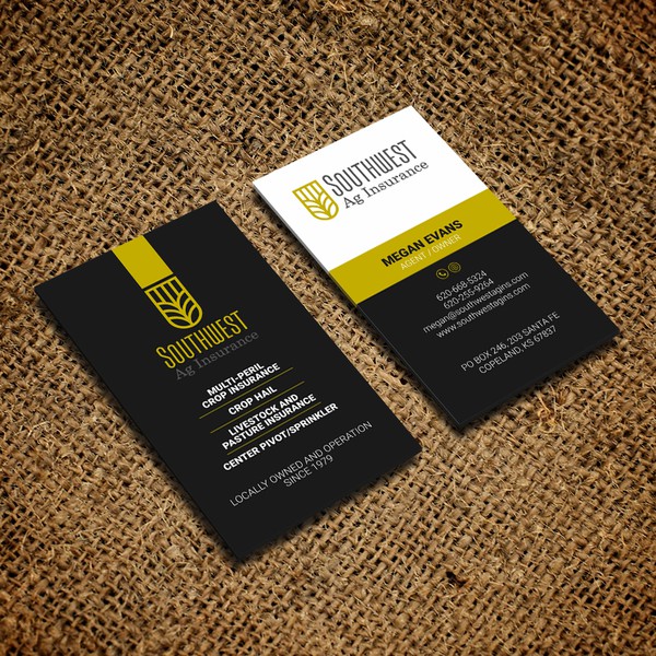 Project for insurance agent
