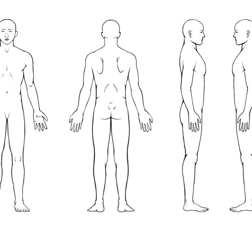 Body diagram for professional massage chart: front, back, left and