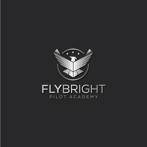 Flight School - High quality career track and recreational flight training. Design by Vulfman