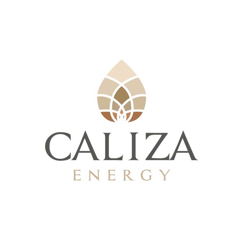 Energy startup Logo to impress investors and early employees Design by FreehubCo™