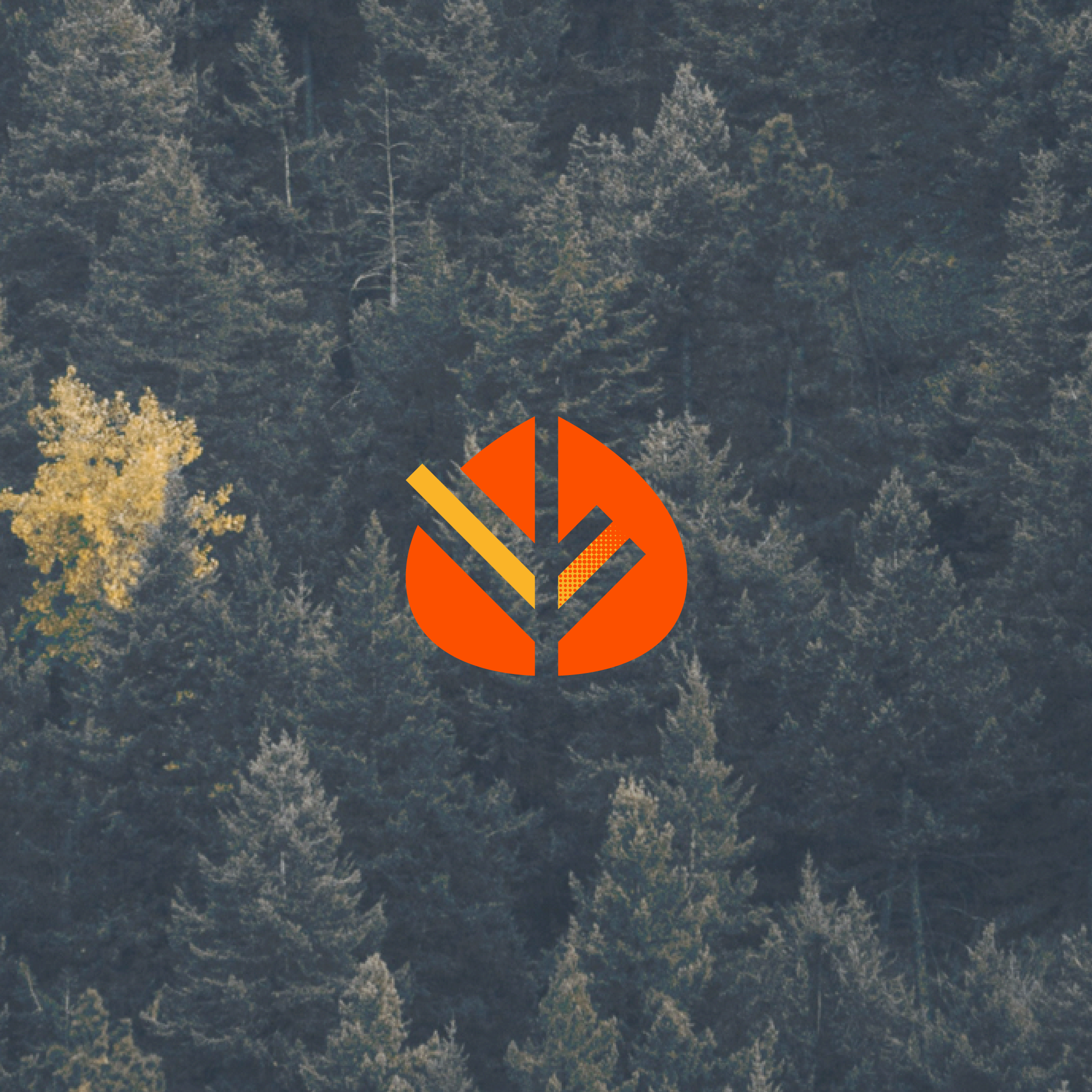 Fall Logos - Free Fall Logo Ideas, Design & Templates