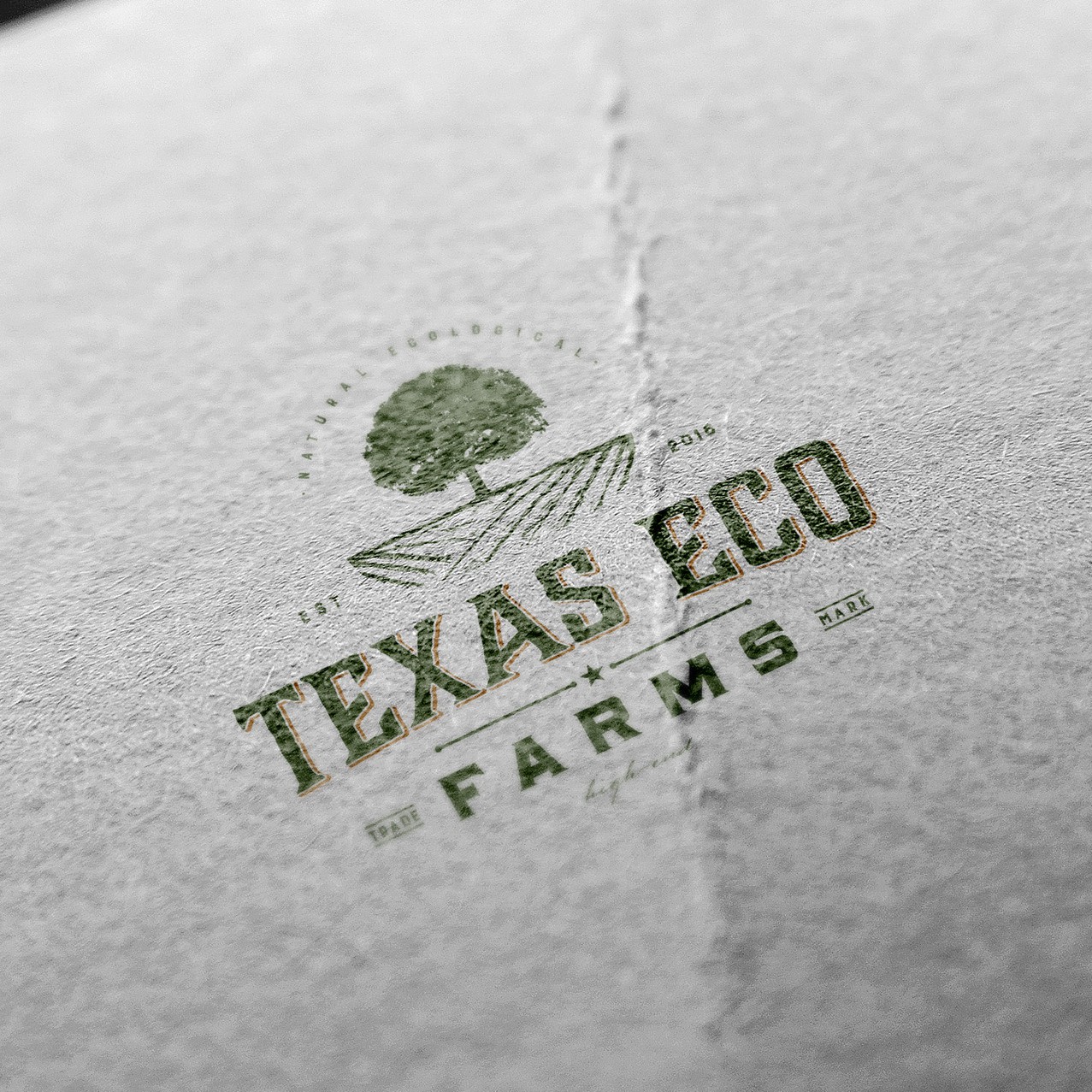 Cedar Logos - Free Cedar Logo Ideas, Design & Templates