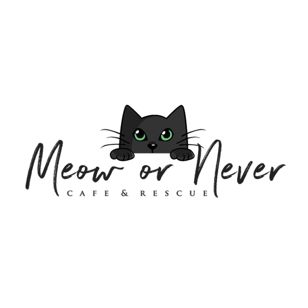 Meow or Never Cafe & Rescue