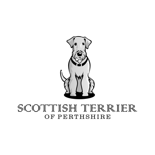  contest entry by Vandi septiawan