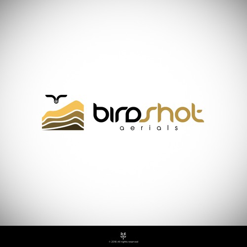 Create a high-flying view for Birdshot Aerials Design by Mastah Killah 187