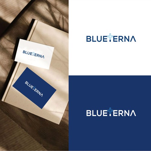 Blueterna Branding contest Design by Imam H.