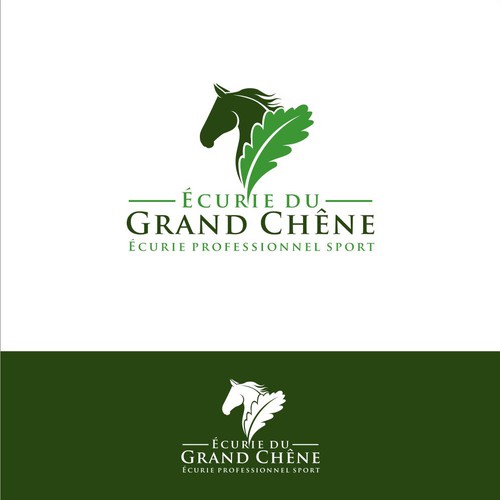  contest entry by AzZura83