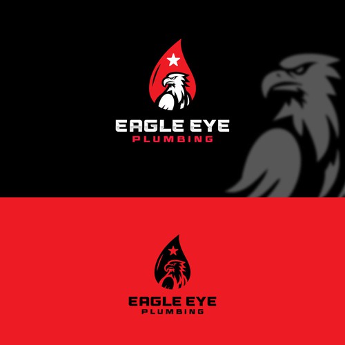 Eye catching and very marketable logo for plumbing company. The company name is Eagle Eye Plumbing Design by JakirVector